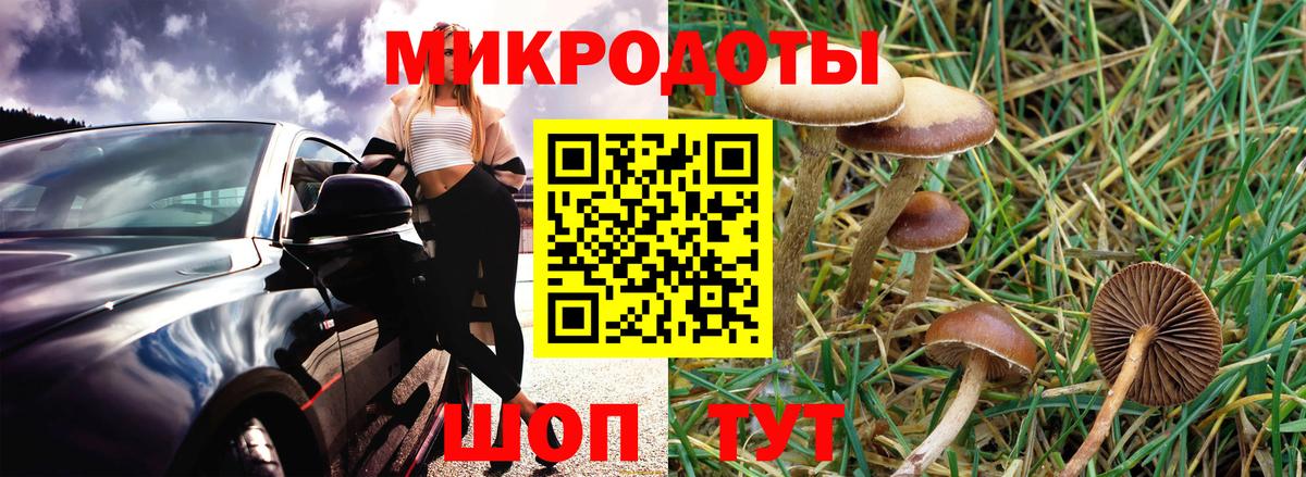 Псилоцибиновые грибы ЛСД  Вход с VPN  Нерюнгри 