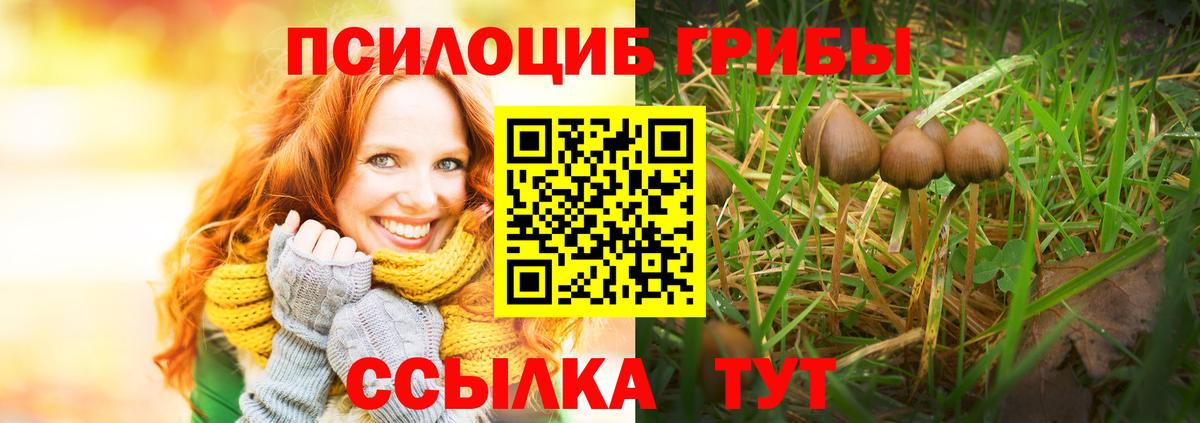 Галлюциногенные грибы мицелий Нерюнгри